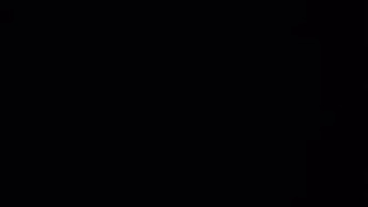 BBC Party with White Slut