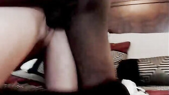 SURFK1TT(Y) and back bull