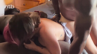 Cuckold PAWG wife and two black bulls