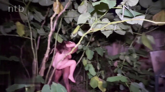 Sexy brunette with hot body and two big black guys in the pool