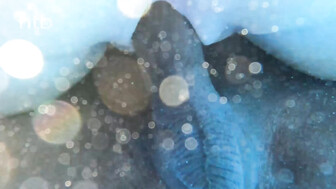 Cuckold PAWG fucked by big black lover in a swimming pool