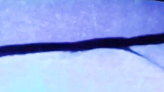 Black cock all for my wife