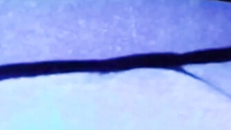 My wife knows how to enjoy with black cock