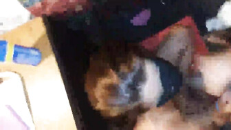 Feeding my black seed to a 50 year old grandmother!