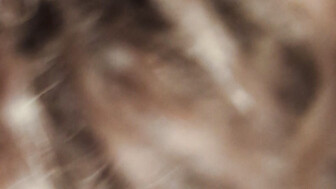 Amateur hotwife cum in mouth and facial