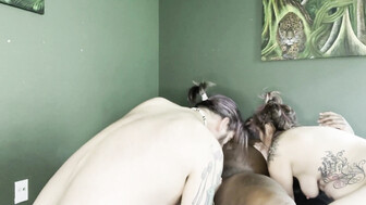 Bisexual Cuckold Interracial For Slutwife Punkit