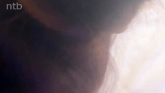 Black bull and cuckold hubby fucked white wife