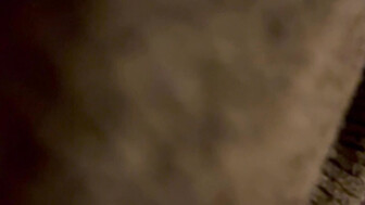 Banged from the backside 2