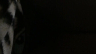 Queen of Spades Hotwife at it again!!