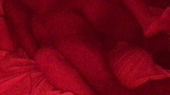 Hotwife getting Dicked Down