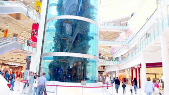 Teen deepthroat blowjob in HM