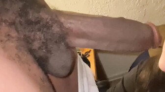 Big black cock gets sucked by sexy latina