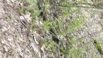 Walk in the park with hot white girl Pt 1