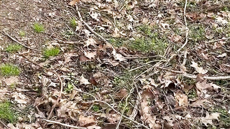 Walk in the park with hot white girl Pt 1