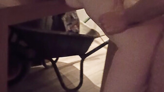 Slutwife and her Bull