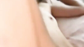 another little parakeet who wanted to experience the bbc, the wife gets the best part