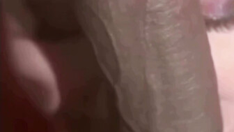 Homemade Amateur Cuckold Gf Fucks BBC While Cuck Waits In Car Outside