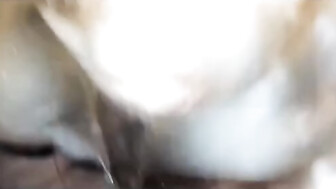 My wife blowjob our neighbor's cock