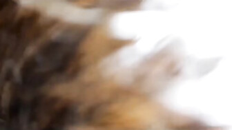 My wife blowjob our neighbor's cock