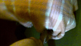 Blonde Aussie 1st time shared