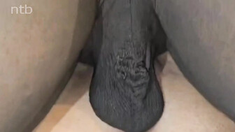 QoS white MILF fucked by BBC