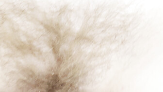 HAIRY BLONDE PUSSY
