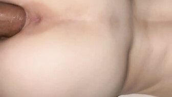 Black Cock cream pie
