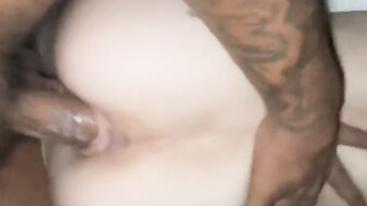 Black Cock cream pie