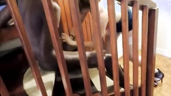 Horny mature makes her black stud cum twice while hubby looks on