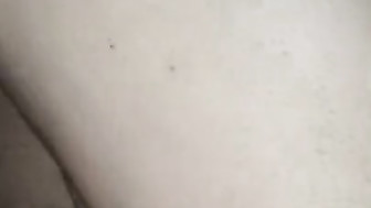 Bull Fucks wife in the ass, hubby records video