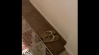 Cougar and her younger black bf