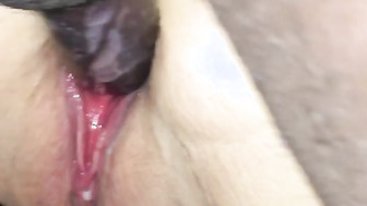 My bbw wife fucking another bbc